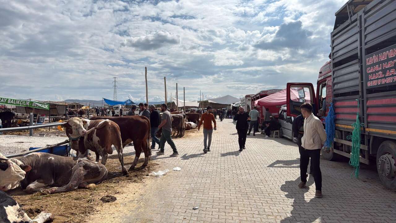 Konya’da arefe yoğunluğu! Kurban pazarlarında sıkı pazarlık yapılıyor 20